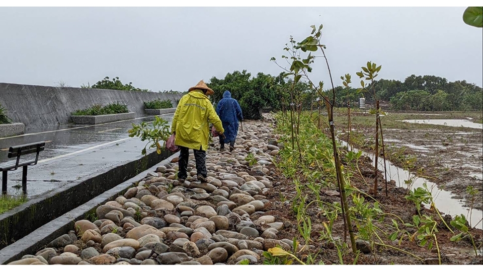 民間團體認養淡海新市鎮臨海公有綠地，期待成為地區環境學習與實踐的基地。圖片來源：劉哲瑋授權提供。